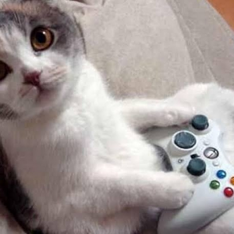 Gatos a Retro Gaming