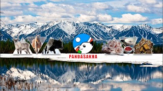 Заставка Ютуб-канала «Pandasakha»
