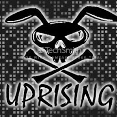 Uprising95