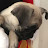 @KC-ox6ou Avatar