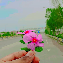 pardesi bande