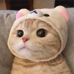 日本感動ばなし#031