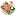メンバー(1 年)