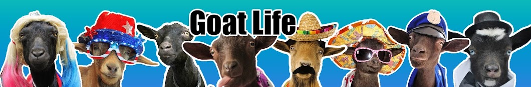 Goat Life YouTube 频道头像
