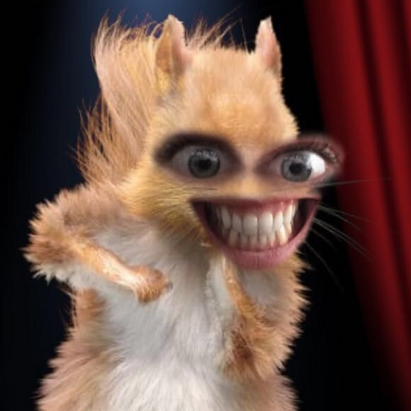 The Squirrel 