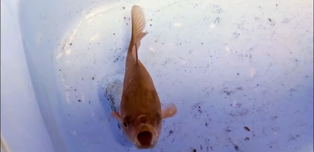 w45Q7t-sXthlkD0TtE9syJ0hNGnFxc2A_ddF8u_e