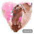Channel Image