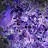 @AbdulquddoosAbdulquddoos-lq1cr
