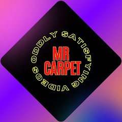 Mr.Carpet Cleaning Satisfying Asmr Avatar