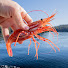 CxsgdKeJwCI-channel-avatar-Alaskan Waters