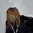 30zjnRG0FLM-channel-avatar-Oliver Lindholm