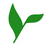 HQn9Us3orWY-channel-avatar-The Plucky Bamboo Podcast