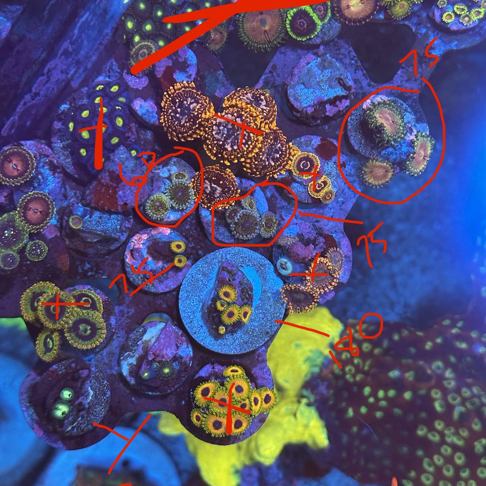 Community post