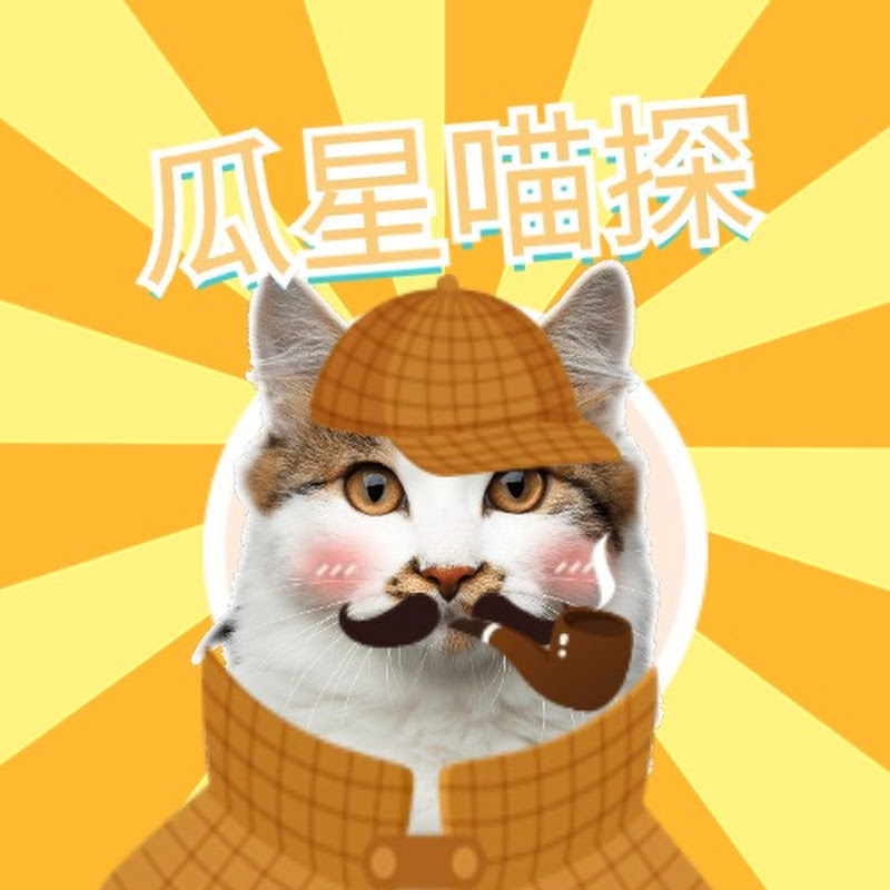 瓜星喵探 Logo