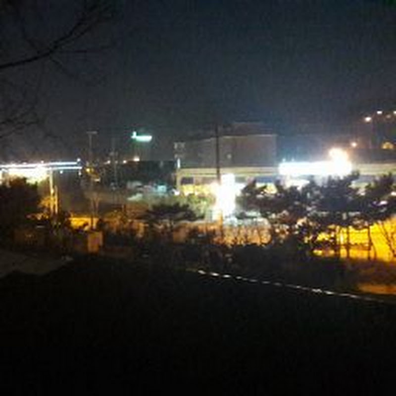 블랙새드