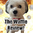 YKVKusEdTNw-channel-avatar-The Waffle Review