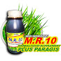 MR10 Plus Paragis Herbal by  Dr. Menting Ramos logo