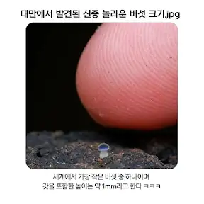 BlockNote image