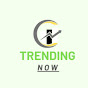 USA Trends Hub  logo
