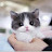 @حساب6-ع5ذ
