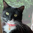 FtlJdT7H0xU-channel-avatar-Chloe’s Home 