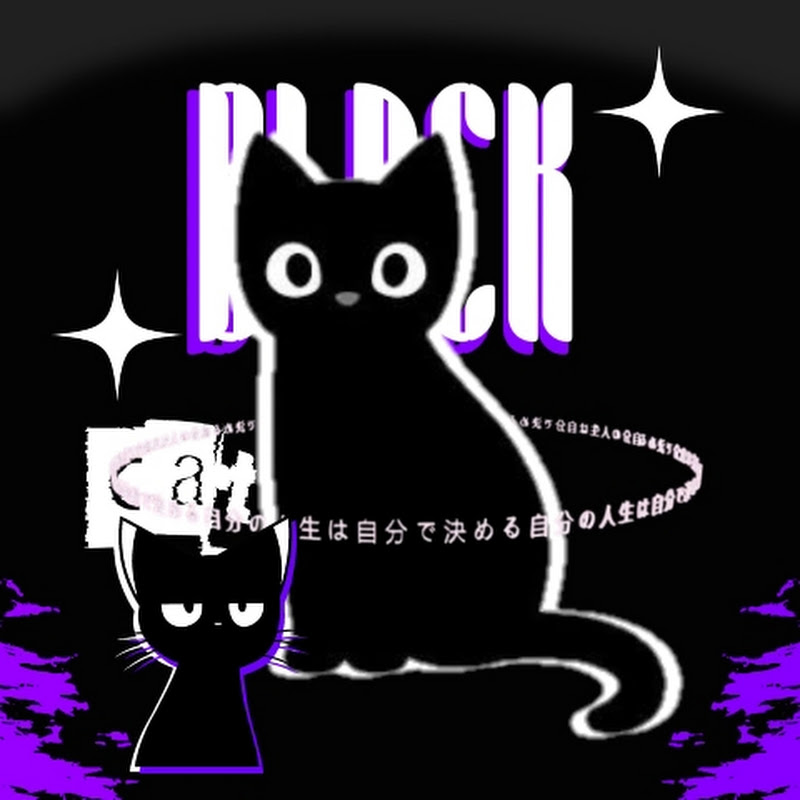 Black cat React