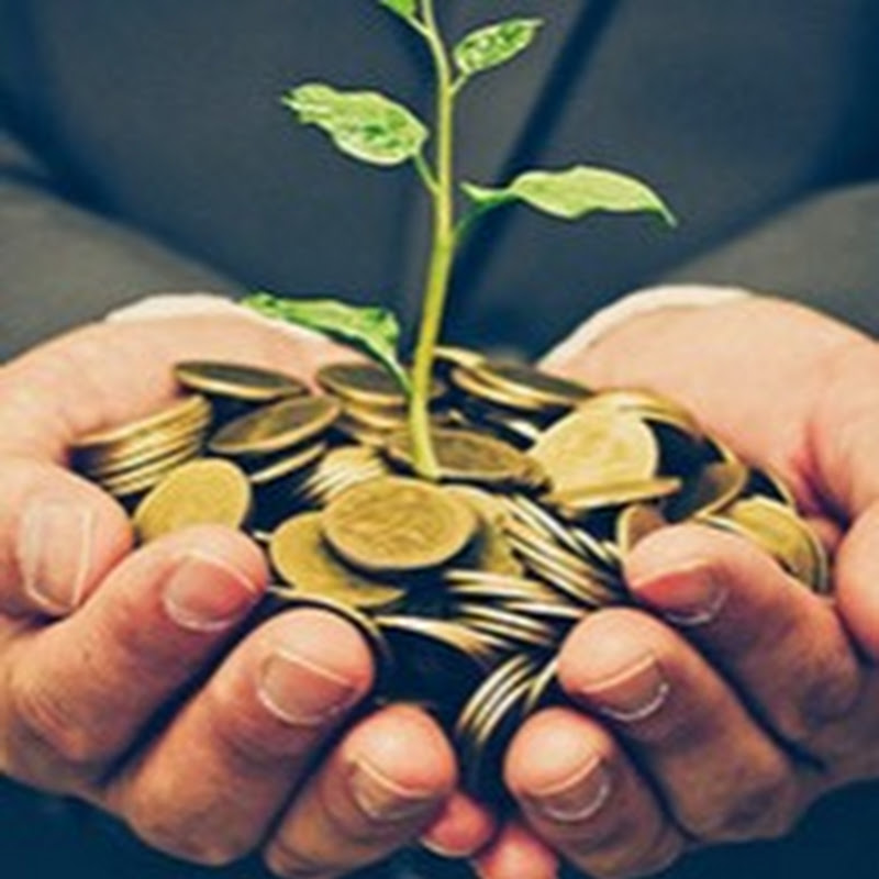 Money Talks UAE