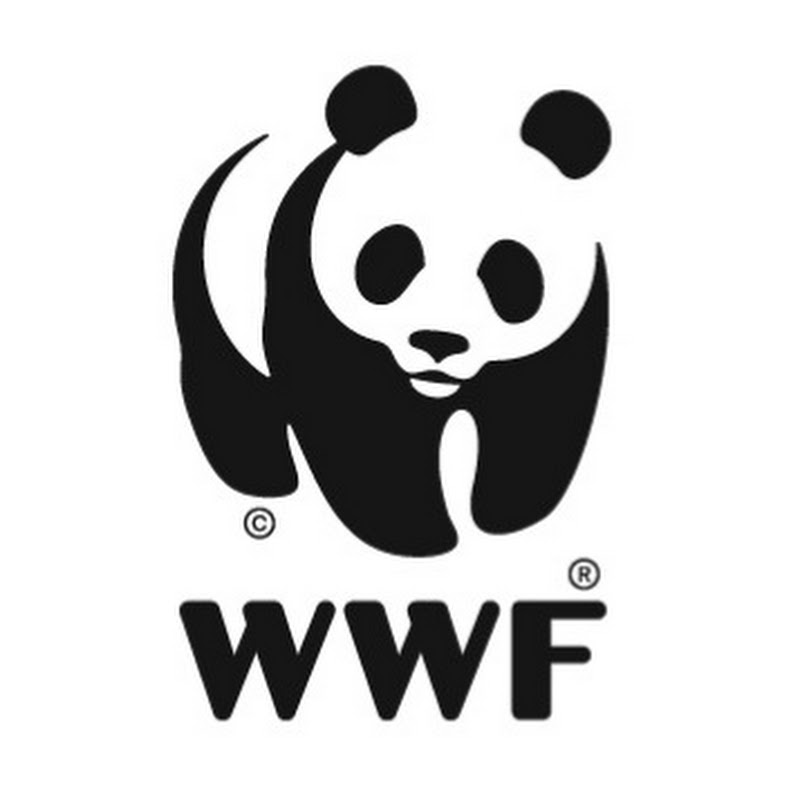 Descubre WWF