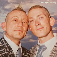 Those Vegan Guys net worth