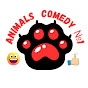Animals Comedy №1 logo