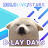 HOLOLIVE-STARS D-Lay Days