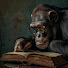 L_WGl2dE3NA-channel-avatar-HistoSapiens 