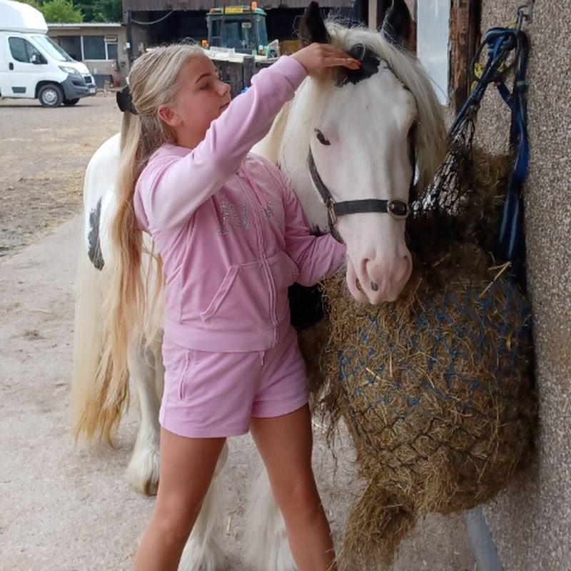 cumbrian finest cobs