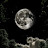 @فاطمهواثق-ص9