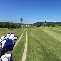 Play golf,sometimes others