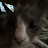 Avatar photo