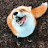 @Sillyfox_andcat