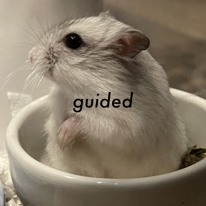 guided