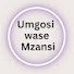 t03r1ze1zh8-channel-avatar-Umgosi wase Mzansi 