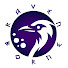 iHnukgBcKa4-channel-avatar-RavenBorn