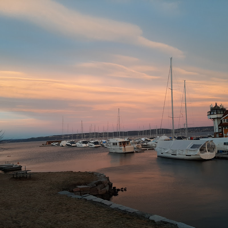 sailingshandy6811