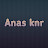 Anas Knr