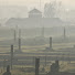 NIaRnw3hZX4-channel-avatar-Auschwitz Memorial  / Miejsce Pamięci Auschwitz