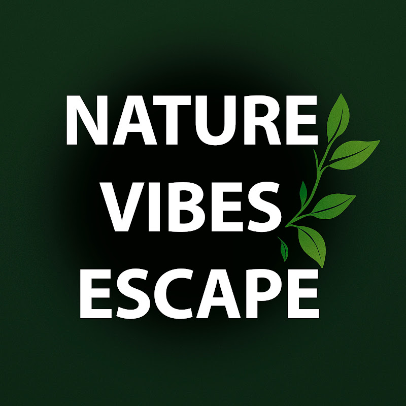 NATURE VIBES ESCAPE 