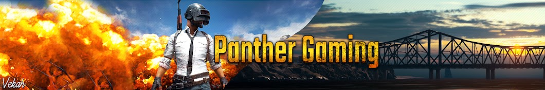 Panther Gaming YouTube channel avatar