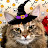 SpookyxMaplexCat