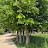 @Kyoon-SP