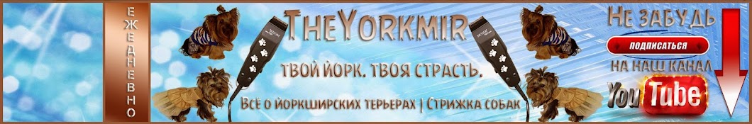 The Yorkmir رمز قناة اليوتيوب