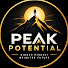alGF-1Fe7pg-channel-avatar-Peak Potential