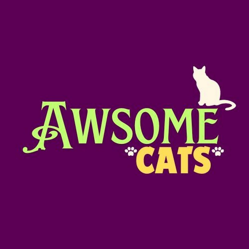 Awsome Cats